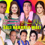 Sali Nakhrey Wali